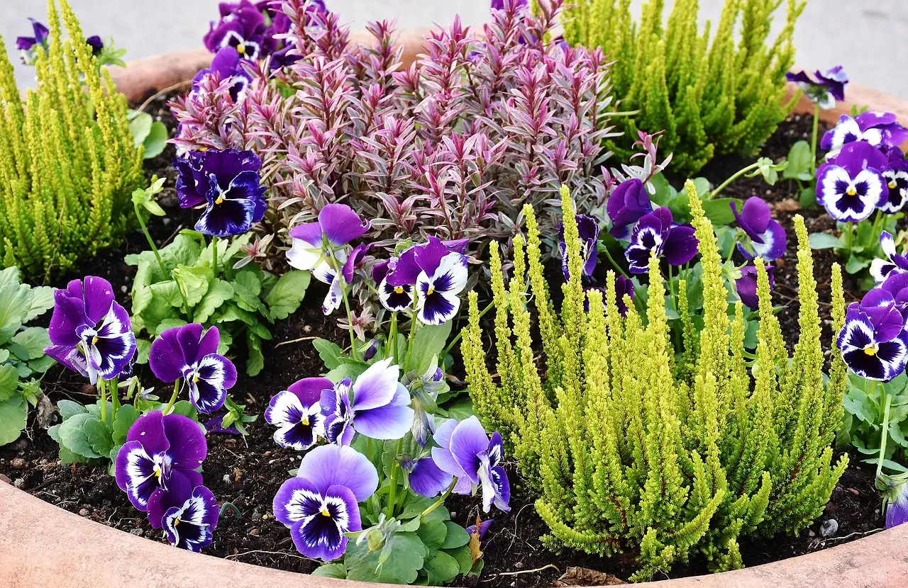 Allarme sulle piante da giardino ecco quali potrebbero essere vietate Immagine selezionata