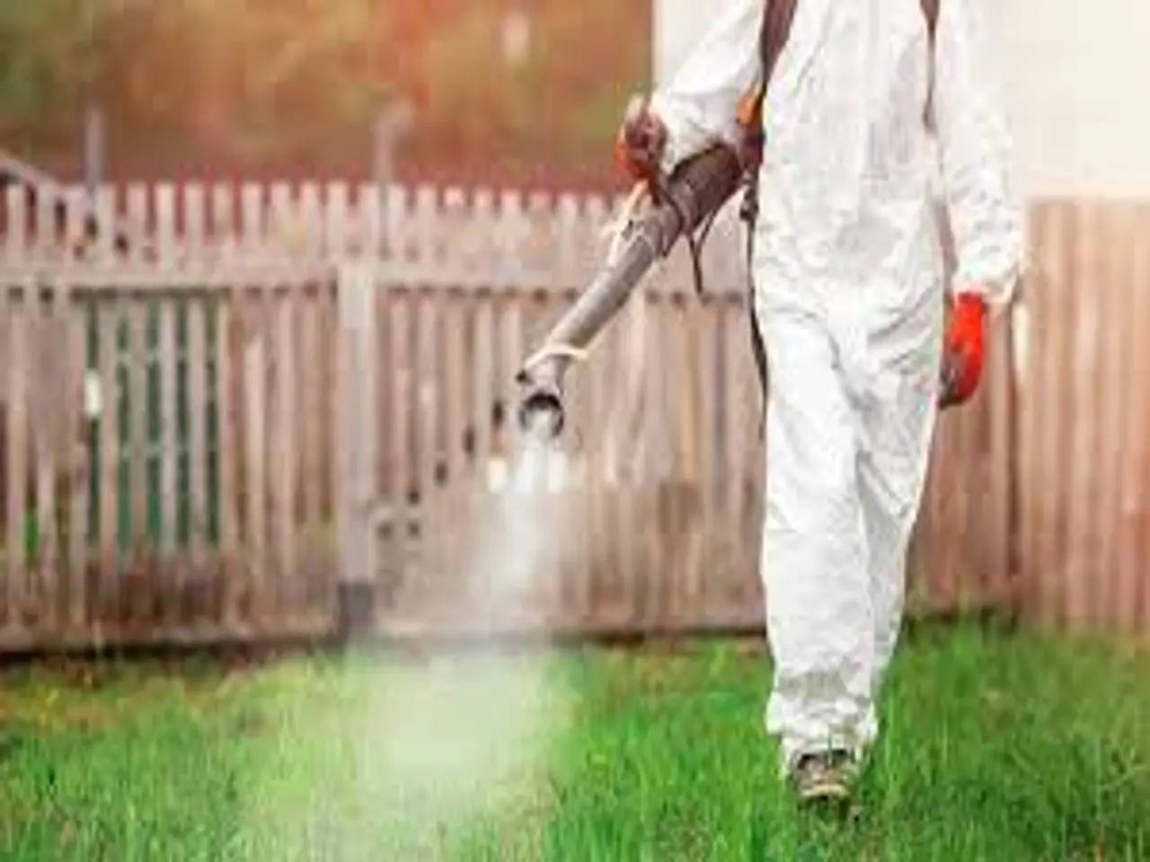Come eliminare le erbacce tra i sassi il metodo segreto dei giardinieri professionisti Immagine selezionata