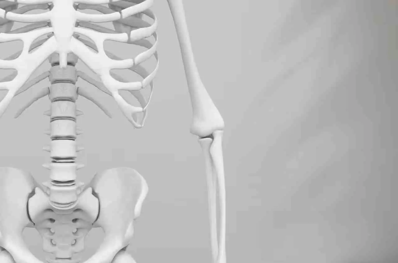 Il cardio ideale per ottenere glutei scolpiti che forse non conosci Immagine selezionata