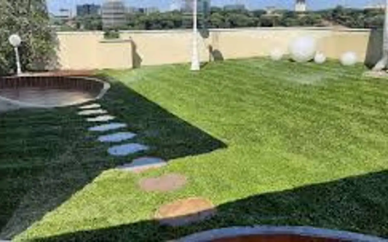 Come eliminare la gramigna e ottenere un prato impeccabile in primavera