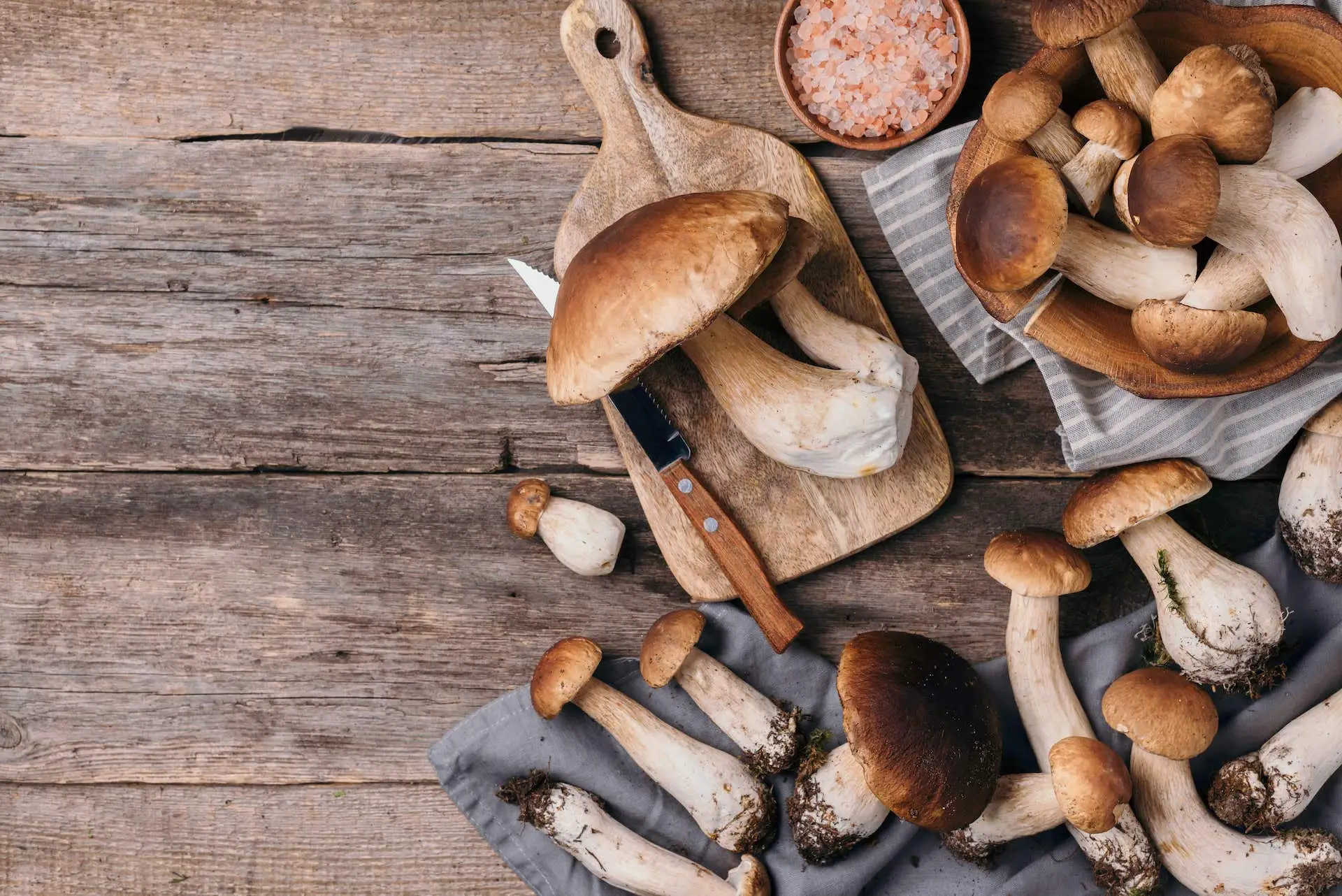 Annata eccezionale per le morette, stagione d’oro per i cercatori di funghi Immagine selezionata
