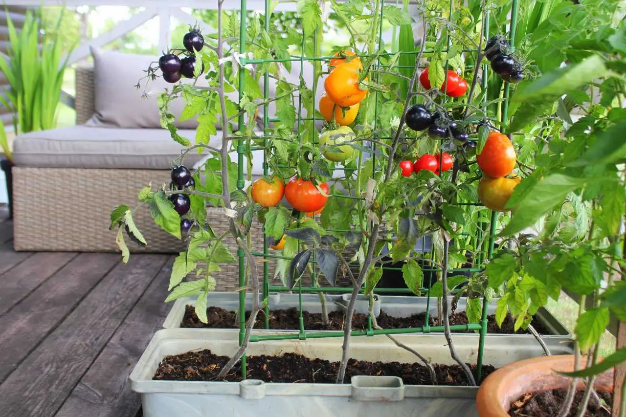 Arriva da ALDI l’orto rialzato che trasforma ogni balcone in uno spazio verde Immagine selezionata
