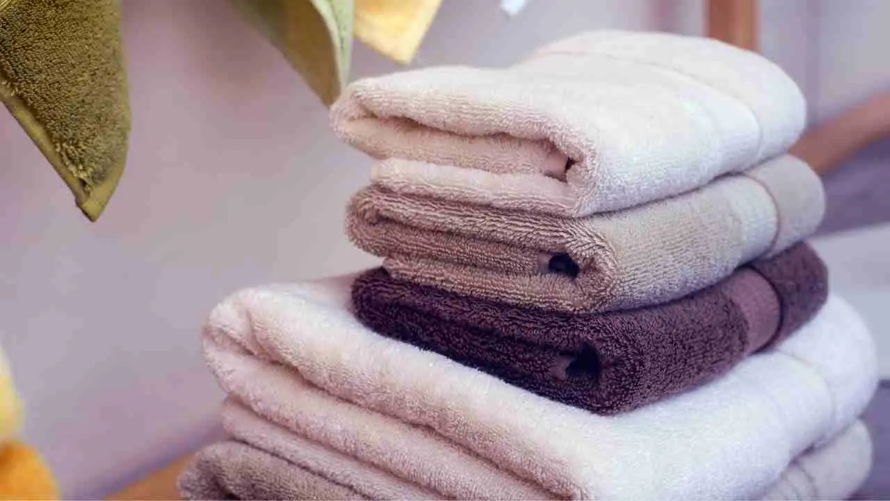 Sai a cosa serve davvero quella fascia sugli asciugamani per bagno? Immagine selezionata