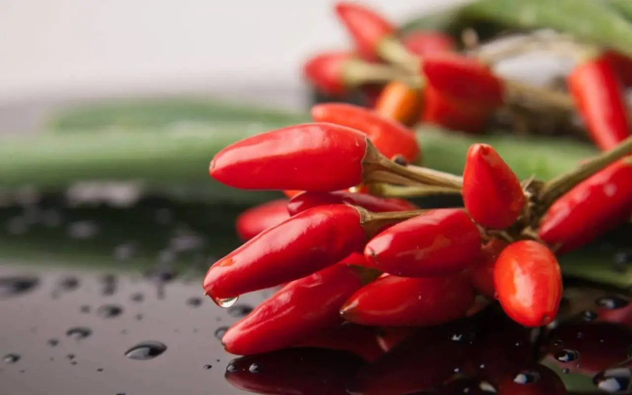 Pianta il peperoncino in questo periodo e avrai un raccolto più abbondante