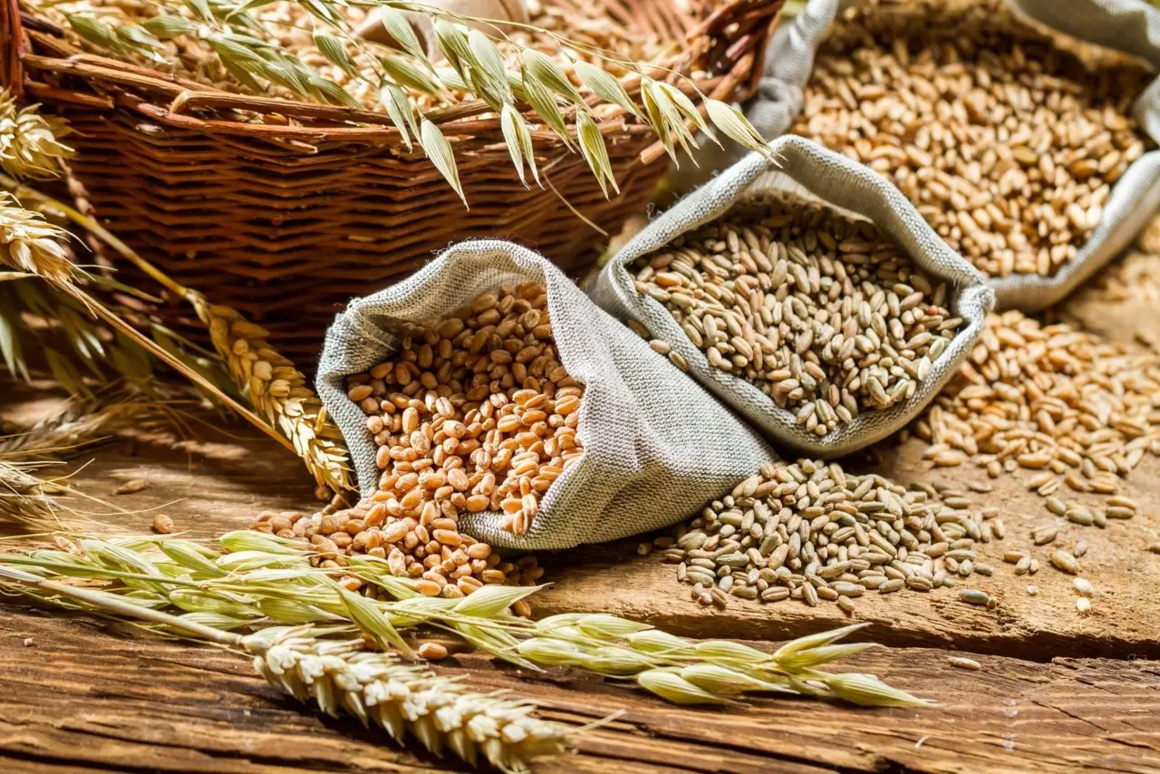 I benefici del grano integrale: come consumarlo per un’energia che dura tutto il giorno