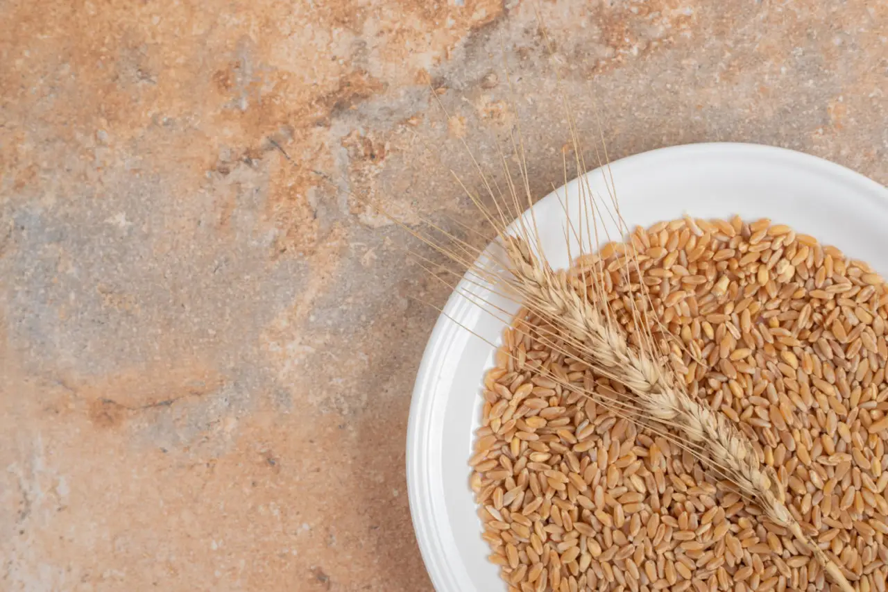 I benefici del grano integrale: come consumarlo per un’energia che dura tutto il giorno I benefici del grano integrale: come consumarlo per un’energia che dura tutto il giorno