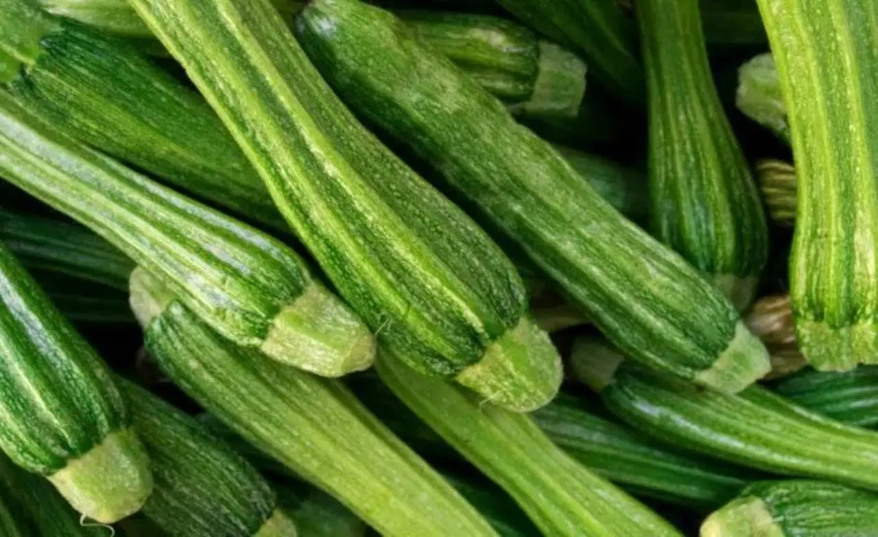 Coltivare zucchine: come concimare per una crescita rapida Coltivare zucchine: come concimare per una crescita rapida